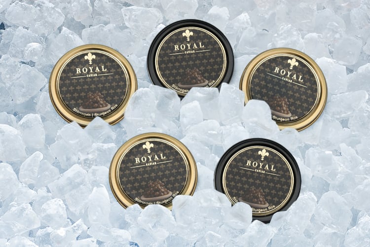 Royal Caviar|Kaviar Probier-Set (5x50g)-0