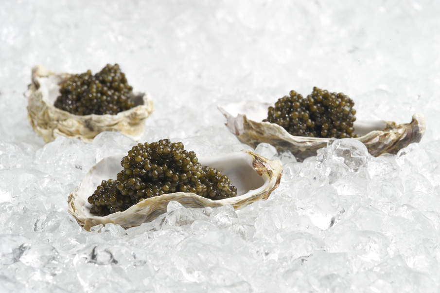 Kaviar serviert auf Eis